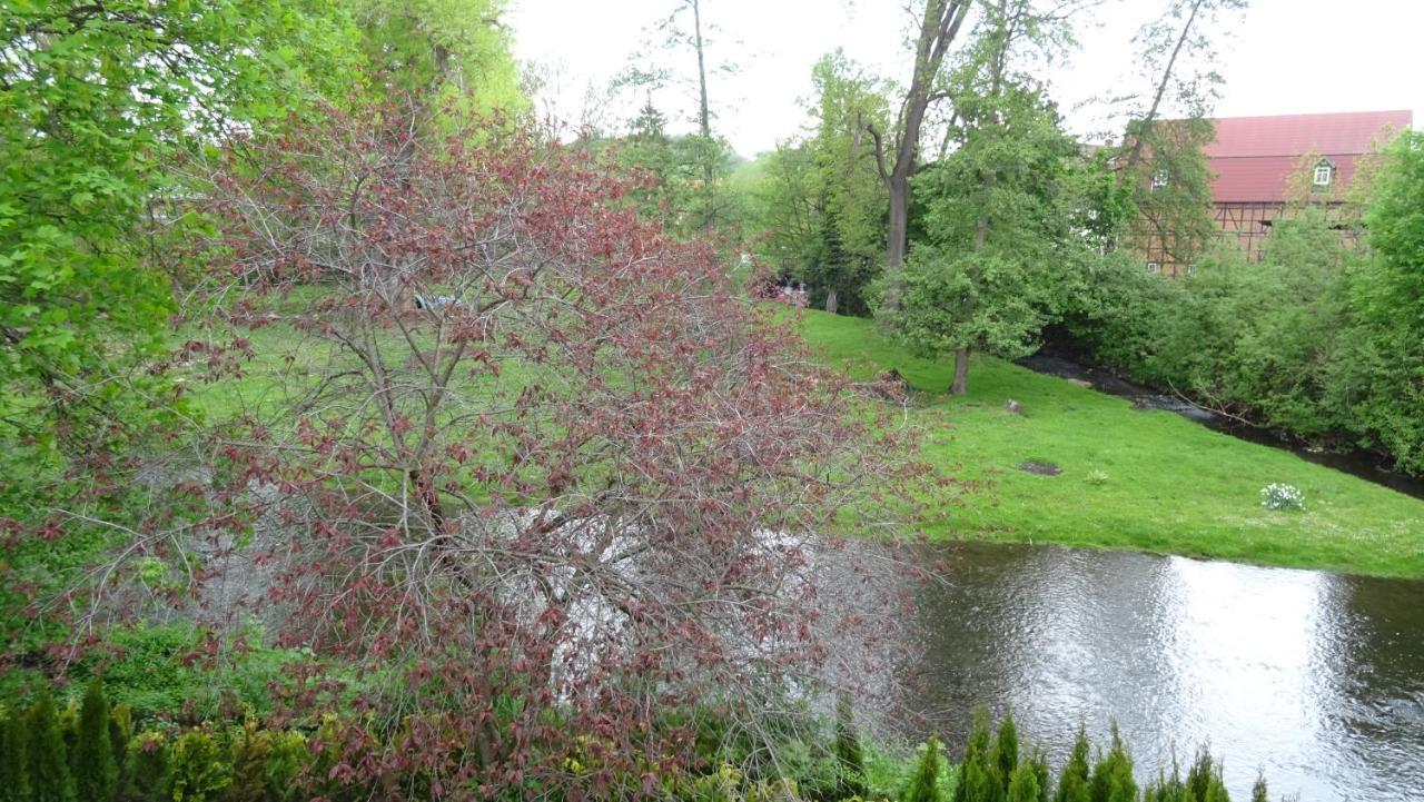 Villa an der Bode Thale Exteriör bild